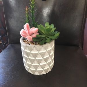 Faux succulent (Decocrated Curated Home)